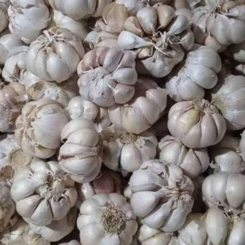 

Bawang Putih Honan 1 Kg Bersih Kulit Pengiriman Cepat aSt
