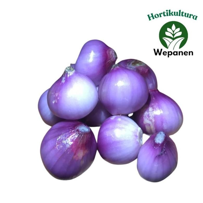 

Bawang Merah Kupas Brebes 500gr Super Grade A aSt