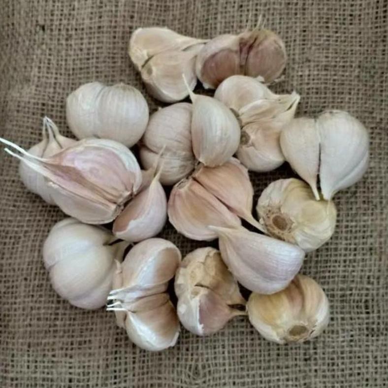 

BAWANG PUTIH KATING SUPER aSt