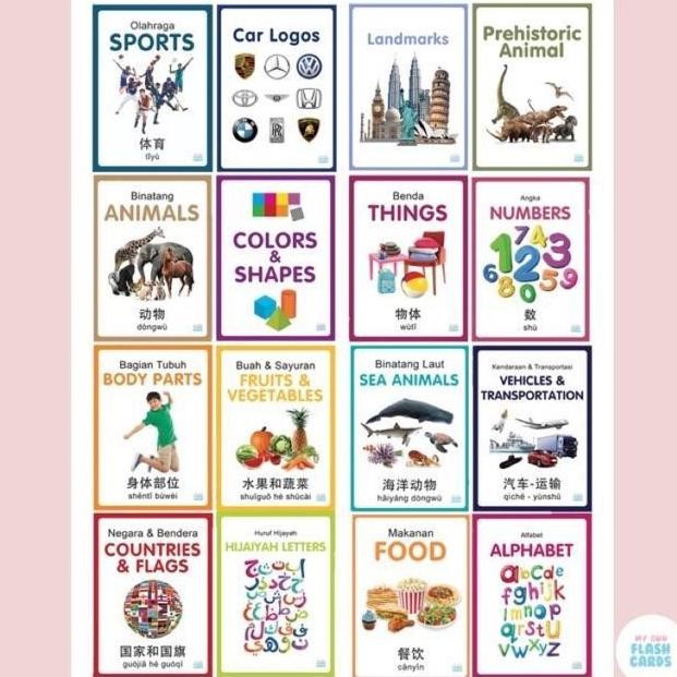 My Own Flashcards 3 bahasa / Flash Card Animal, Body Parts, Kartu Pintar Mainan Edukasi Flashcard An