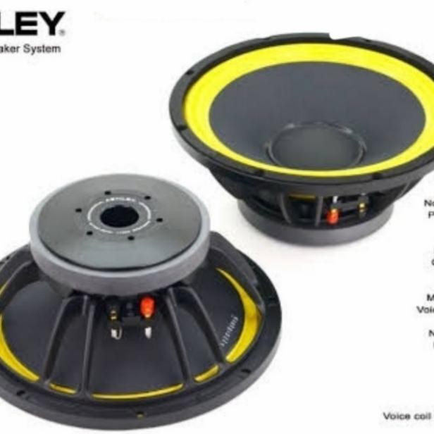 SPEAKER SUBWOOFER V 12 C3 ASHLEY
