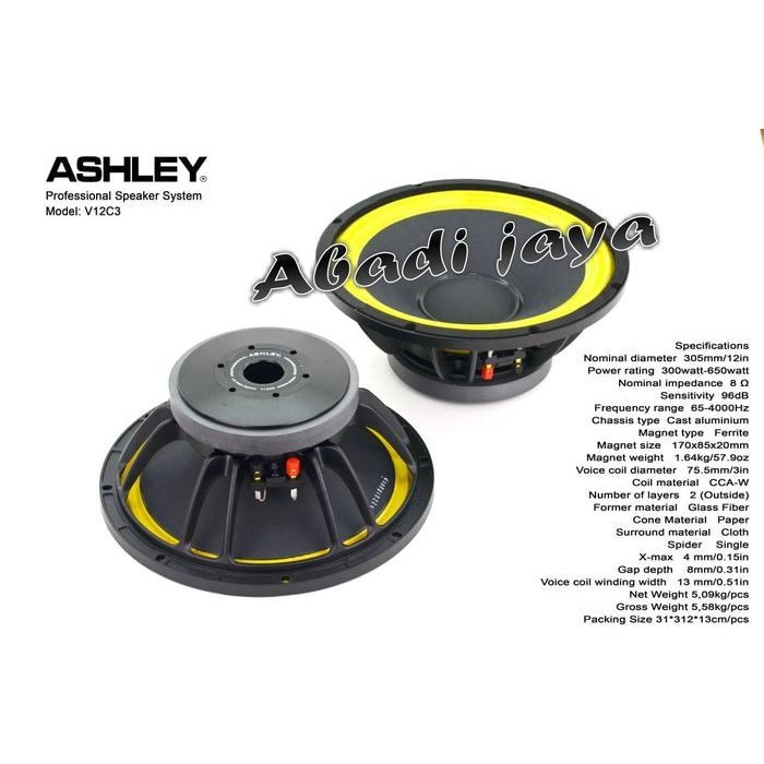 speaker system ashley v12c3 12inch ORYGINAL ASHLEY