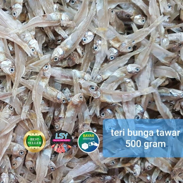 

Kmb_12 Teri Tawar Bunga Super 500Gram Tanpa Rasa Asin D-7