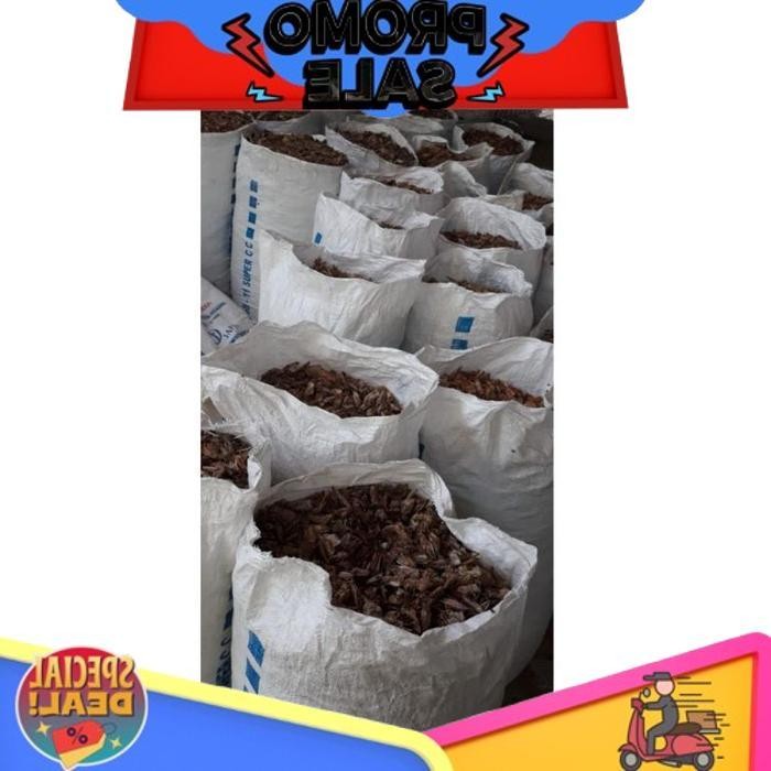 

New Stock Kepala Udang Vanami (Udang Tambak) Kering Kemasan 1 Kg Asli Murni