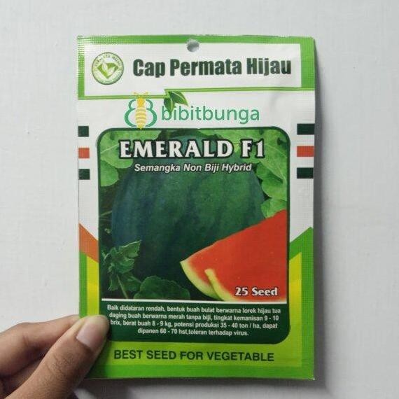 PREMIUM Bibit Semangka Non Biji Hybrid Emerald F1 25 Biji Buah Hibrida