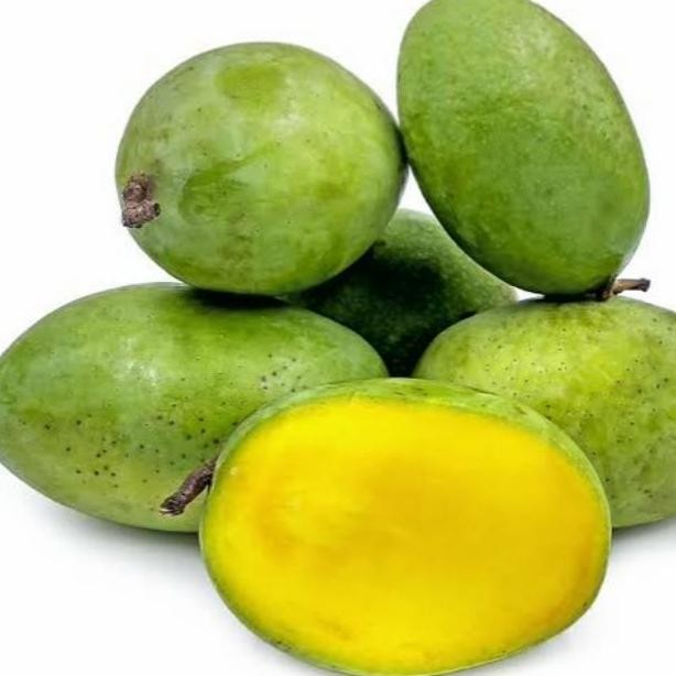 PREMIUM bibit pohon buah mangga kweni super...mangga kuini .