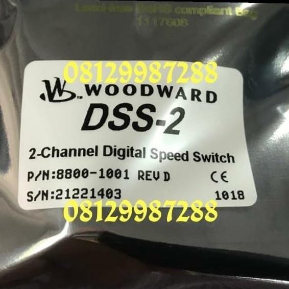 HOT SALE 8800-1001 DSS2 WOODWARD SPEED SWITCH DSS 2 DSS-2