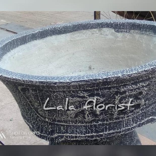 Pot Bonsai 40Cm Tinggi 20Cm