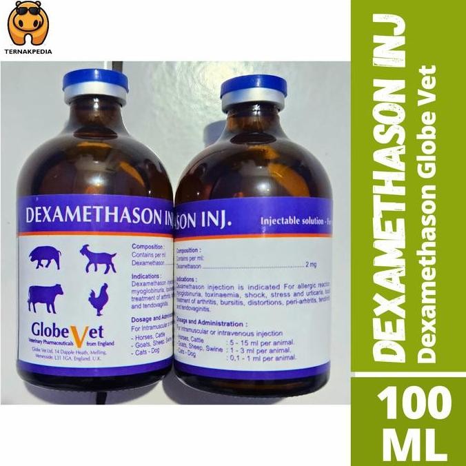 TERBARU DEXA GLOBE VET 100ML DEXAMETHASONE PANTEX PEMULIH SAPI KAMBING