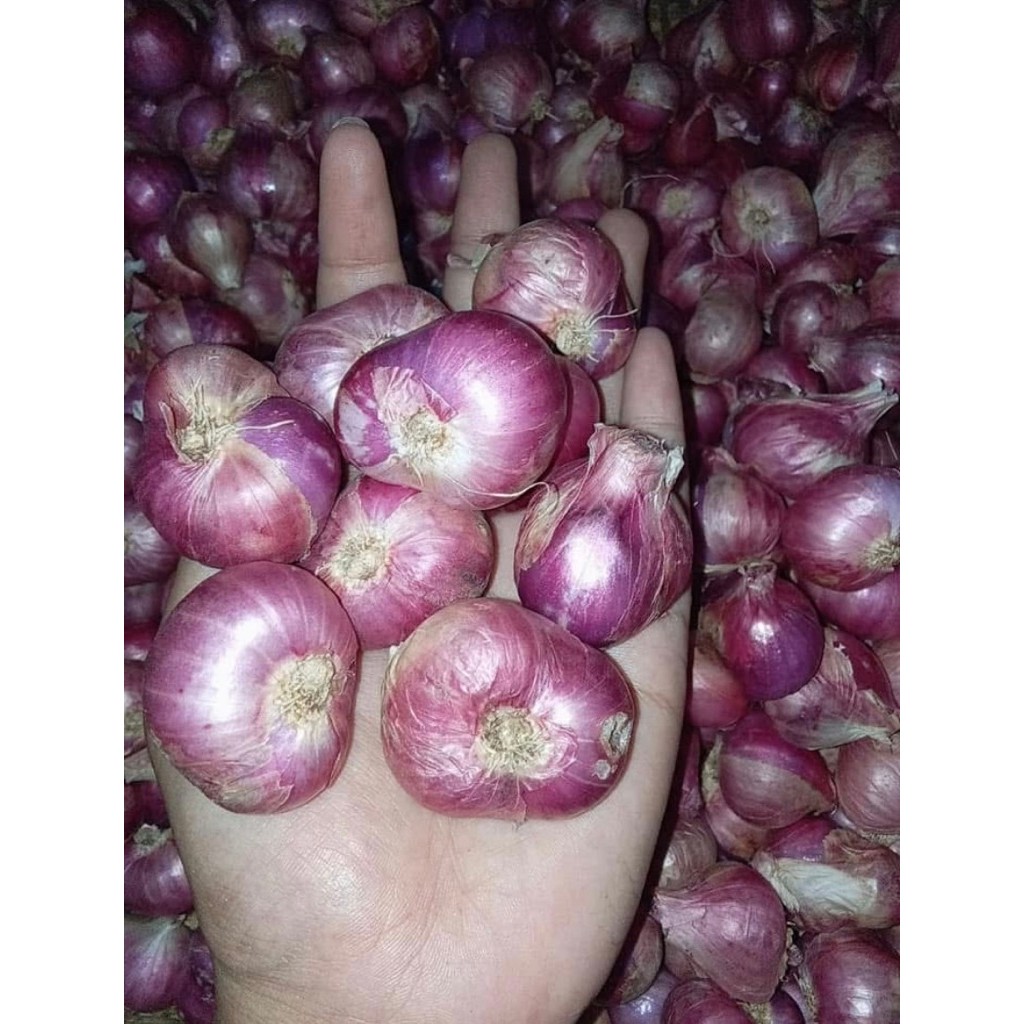

BAWANG_MERAH.super500g