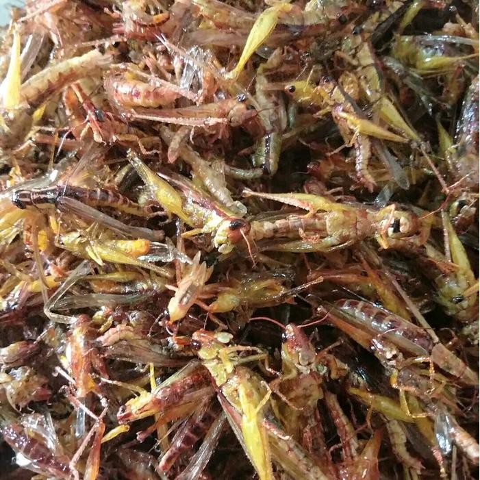 

CCF Belalang goreng kriuk kemasan kiloan makanan ringan jajanan snack viral gurih pedas enak lezat hot jajan ramadhan lebaran Food Camilan