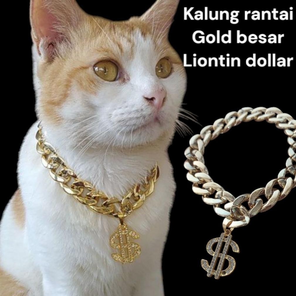 kalung kucing kalung anjing rantai gold besar liontin dollar MURAH