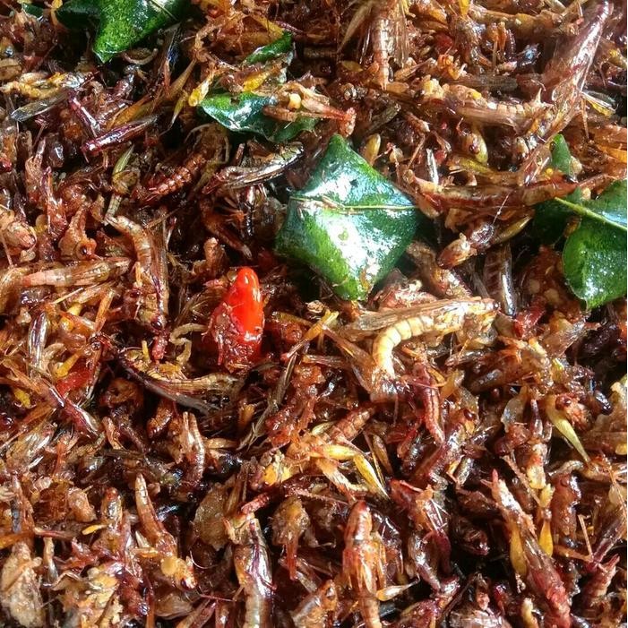 

FF Belalang goreng kriuk kemasan kiloan makanan ringan jajanan snack viral gurih pedas enak lezat hot jajan ramadhan lebaran Food Camilan