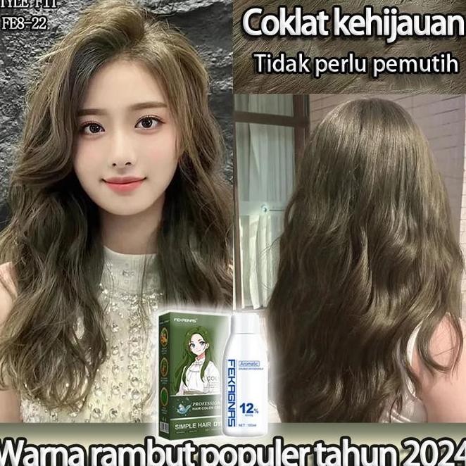 Terbaru Warna Rambut FashionFekagnas Hair Color Pewarna Rambut Halal Tidak Perlu Pemutihan Pewarna H