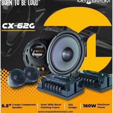 Speaker Momentum CX-62G Split 2 way component