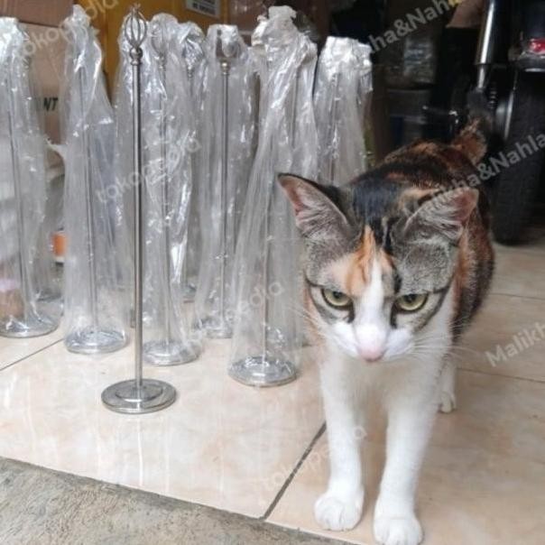 

Stainless Steel Table Number Stand 40Cm / 16Inch