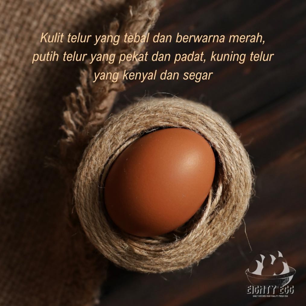 

Telur Ayam Negeri PREMIUM - 30 pcs GRADE A Fresh Bersih Kualitas Terbaik