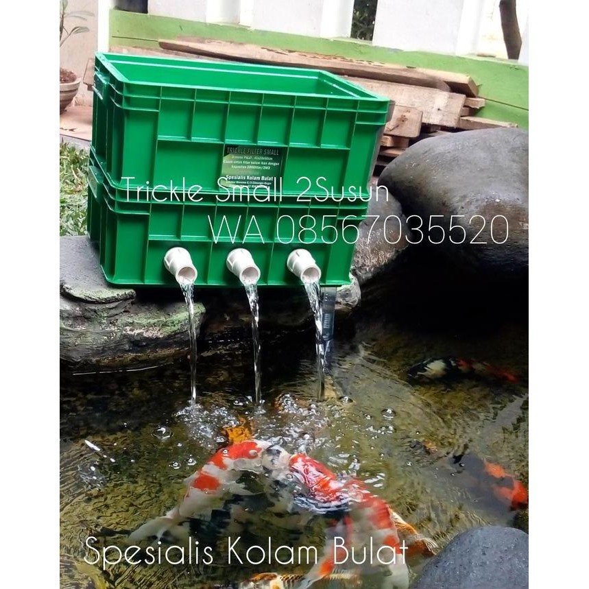 Trickle Filter Kolam Ikan 2Susun Small