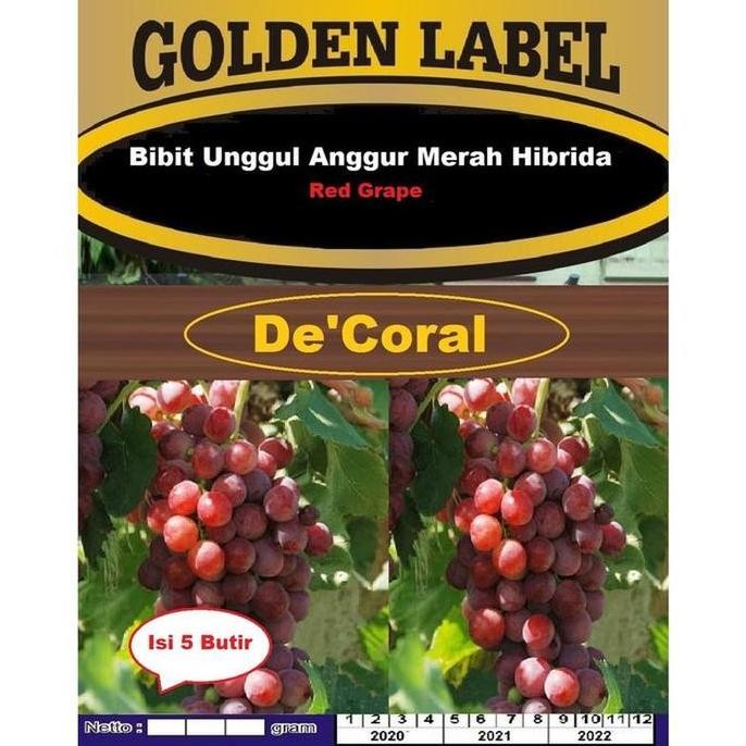 Bibit Unggul Anggur Merah Hibrida | Benih Anggur Merah