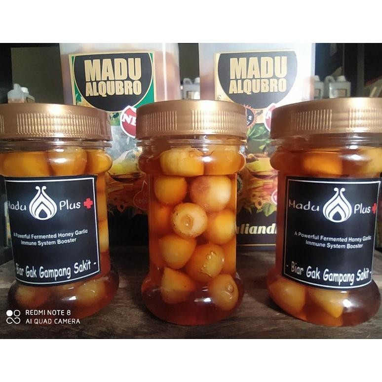 

(Terbaru) Madu , kombinasi Rendaman Bawang Putih Tunggal dalam Rendaman Madu Asli (Terlaris)