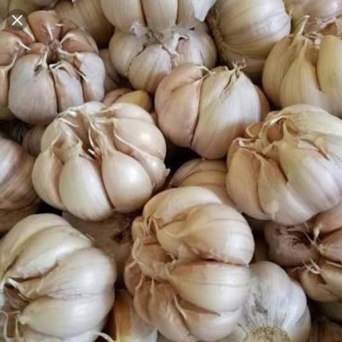 

JH8 bawang putih 500 gram