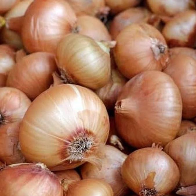 

JH8 Bawang bombay kecil 500gram