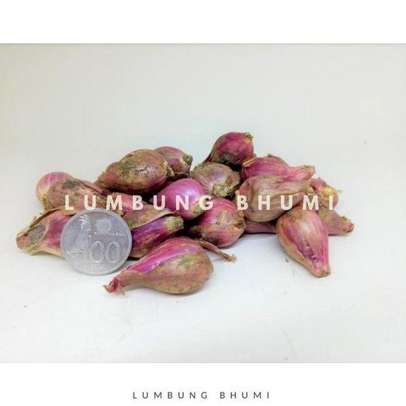 

JH8 Bawang Merah 250 gr