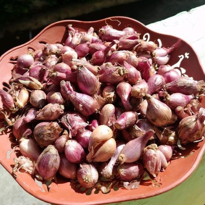 

JH8 Bawang merah KECIL/MINI ares 1kg bawang merah super garut