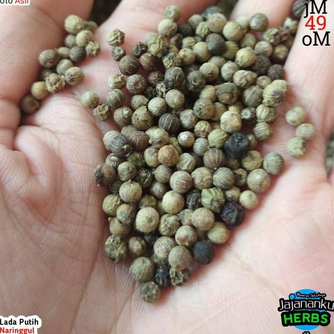 

JH8 Lada Putih 1Kg Biji Utuh Merica Biji Pedes Best Quality Lada Premium