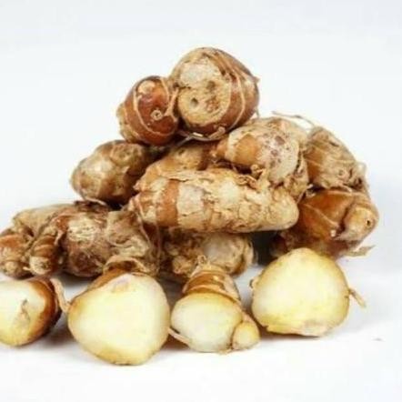 

JH8 Kencur | Sayur N Co Bekasi