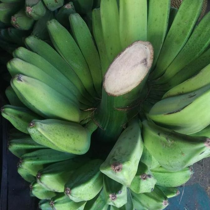

JH8 Buah pisang kepok /