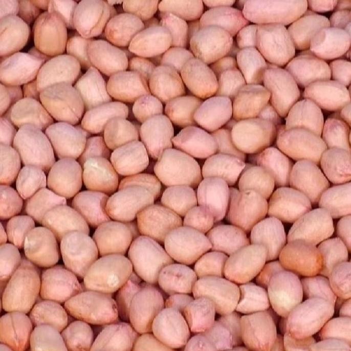 

JH8 kacang tanah mentah kemasan 1kg