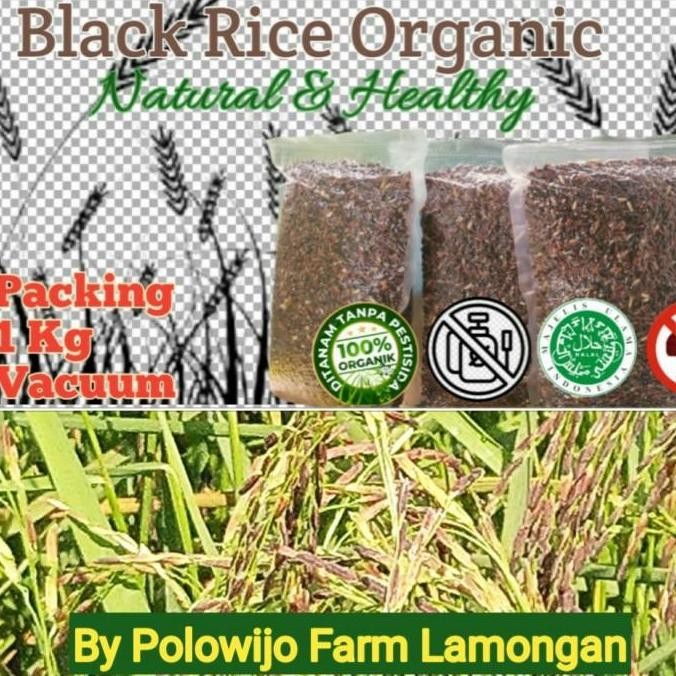 

(Expert) BERAS HITAM ORGANIK SUPER PULEN LANGSUNG DARI PETANI