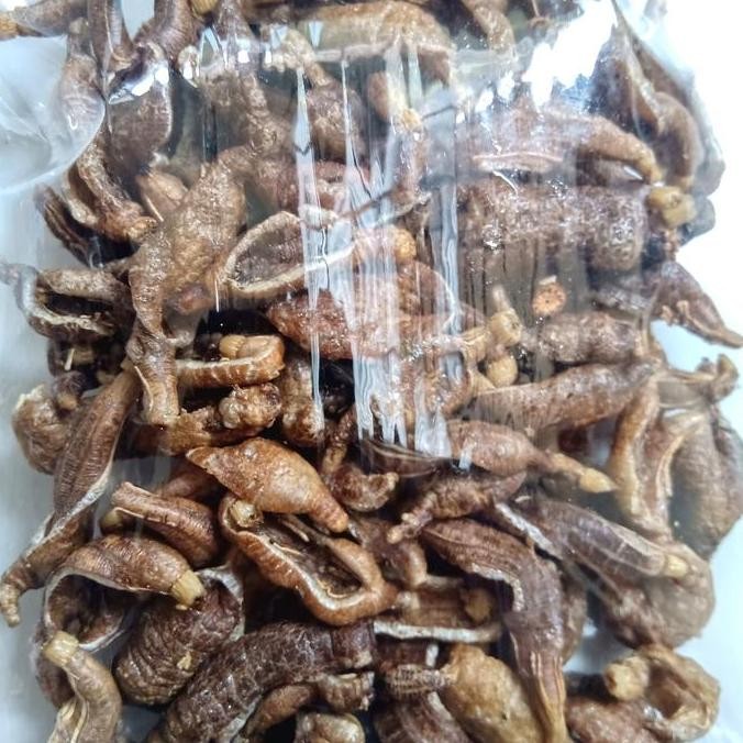 

Krupuk Tripang/Blonyo