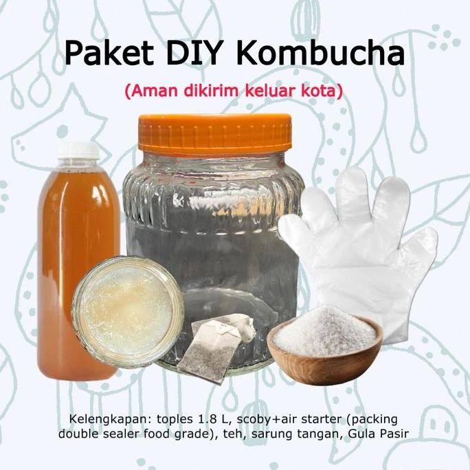 

JH8 Paket kombucha premium