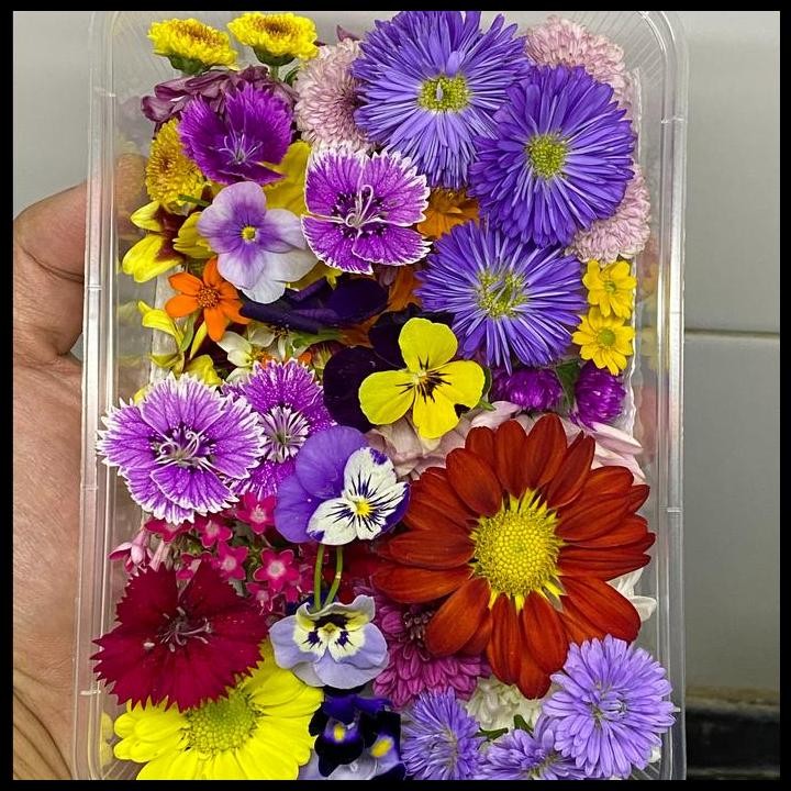 

Terlaris Mix Edible Flowers Fresh 30 Pcs Good Quality