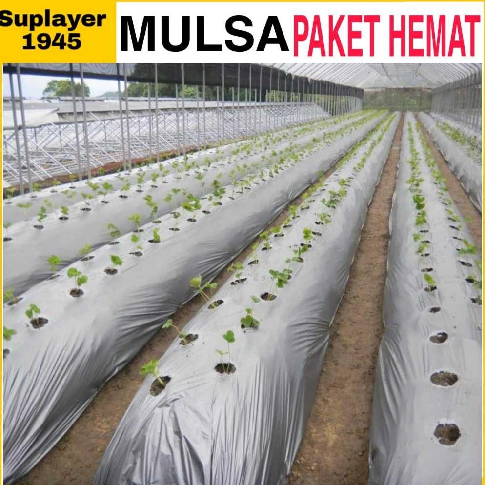 Plastik MULSA 1 ROLL hitam/perak ( Panjang 250 meter x Lebar 1,2 meter ) ROLL