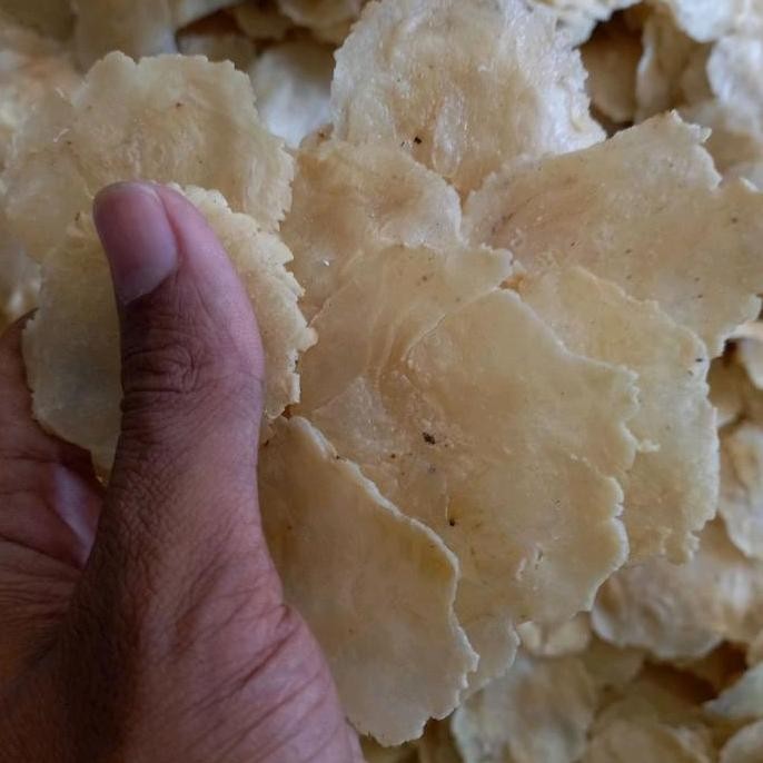 

ID | EMPING MELINJO MENTAH TIPIS SUPER ORIGINAL 1 KG CEMILAN LOKAL