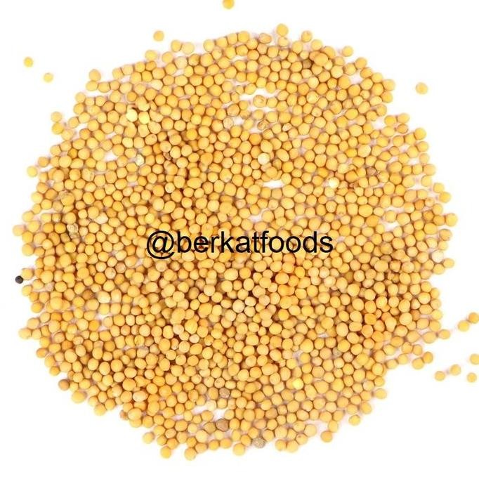 

ID | YELLOW MUSTARD SEED / BIJI SAWI KUNING IMPORT / RAI SEEDS