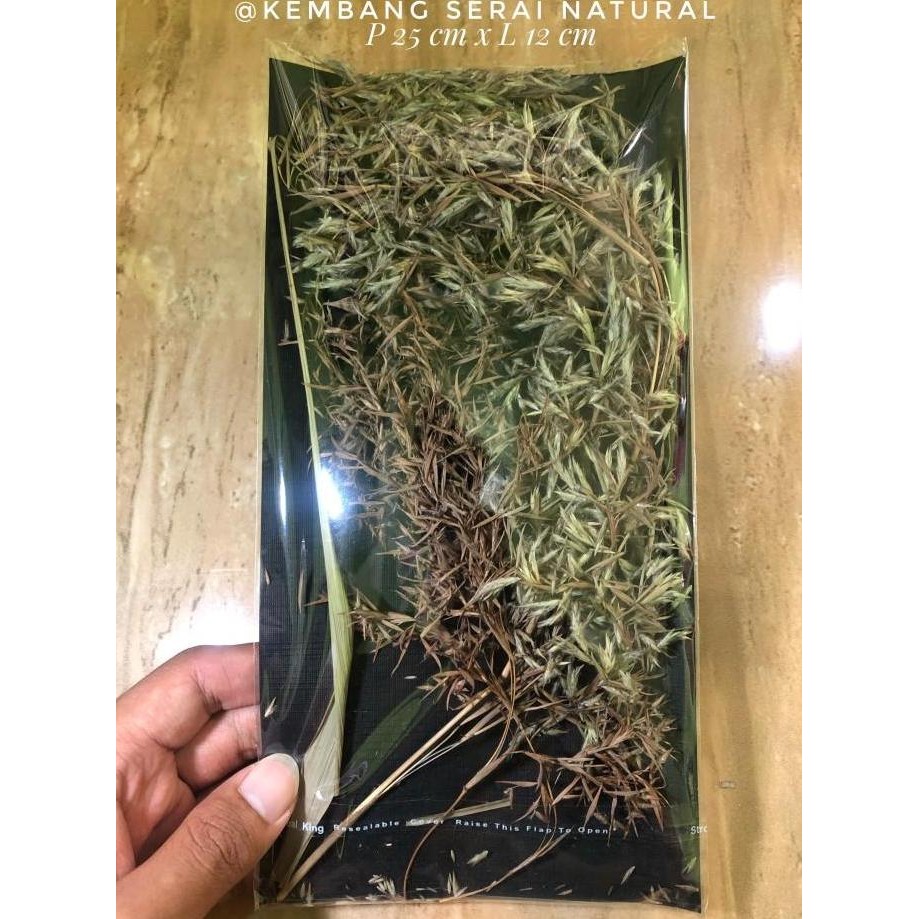

(Allthebest) Kembang Sereh atau Bunga Sereh Alami atau Kembang Serai
