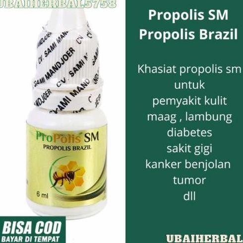 TERMURAH - Propolis SM Brazil Original 100% Asli | Propolis Brazil Obat Tetes
