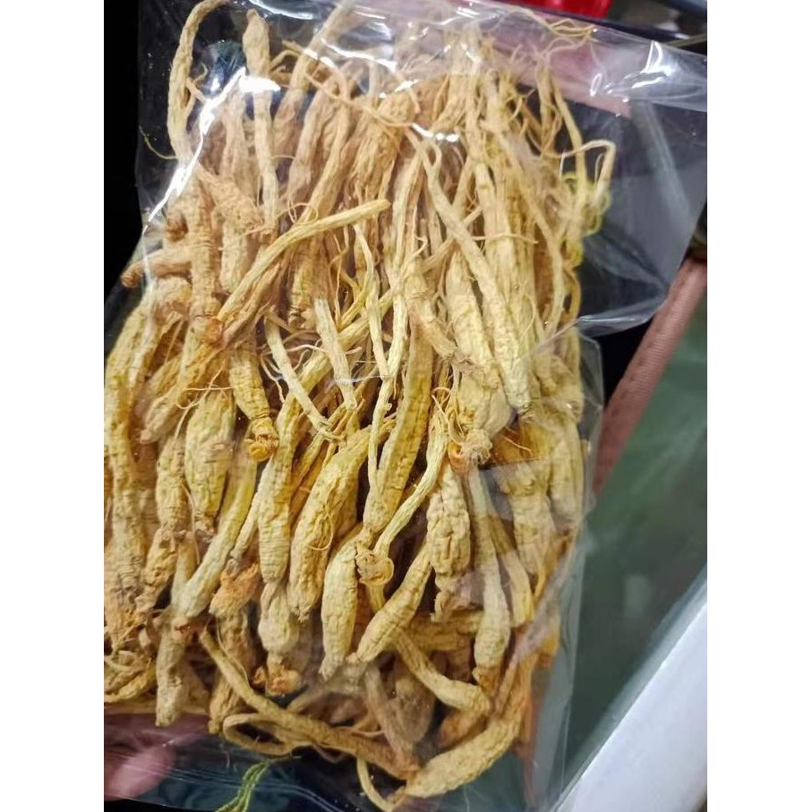 

Anak Gieng kering 100 gram lebih hemat