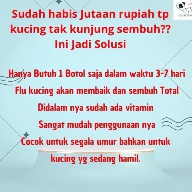 Obat Flu Kucing Ampuh Murah mengobati Batuk Demam Pilek kucing