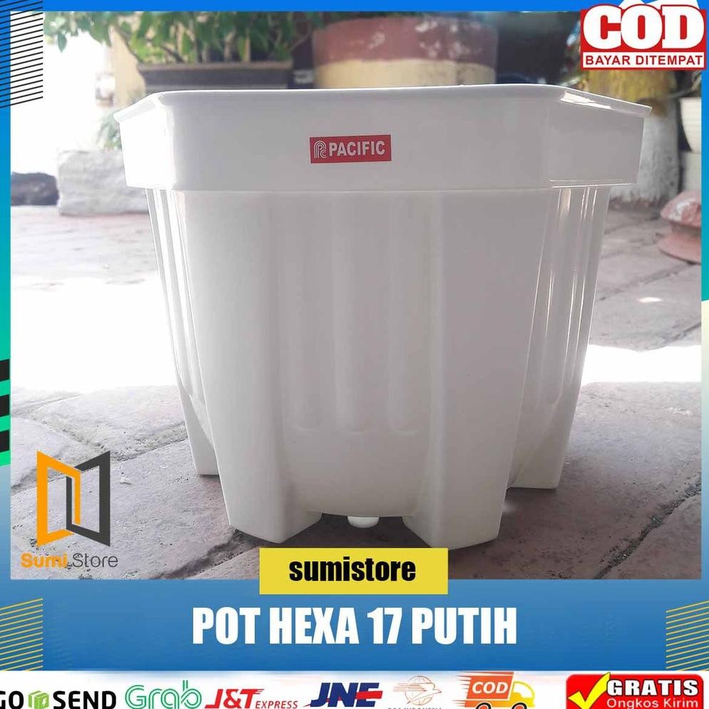 Pot Pacific Segi Enam 17 Hexa Putih/ Pot Hexa 17 New