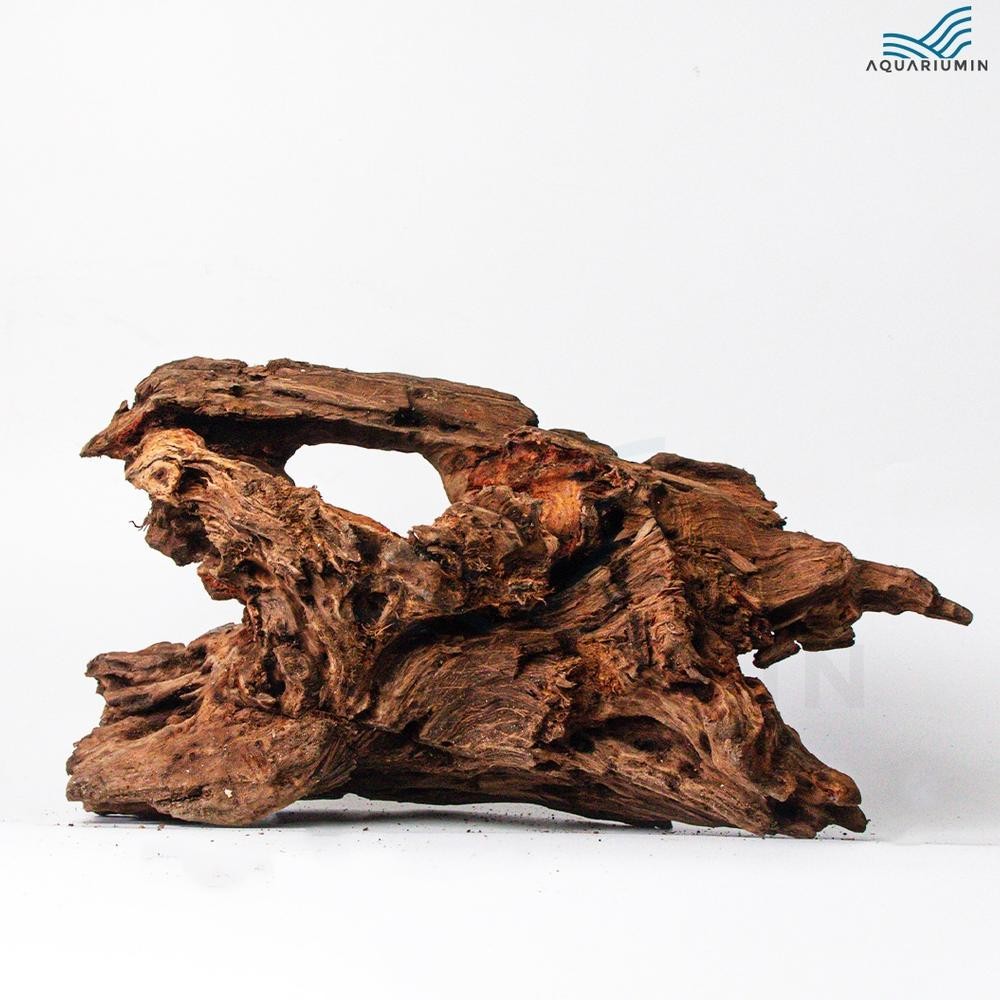 Premium Kayu Rentek / Rentek Wood Size Xl Aquascape Aquarium