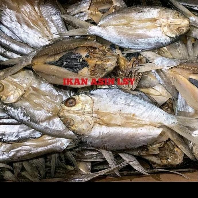 

Ikan Asin Bandeng Belah Super 1Kg