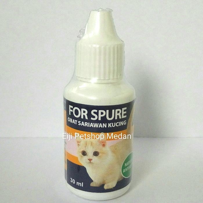 Obat Sariawan Kucing For Spure Obat Herbal Kucing Sariawan Obat Hewan