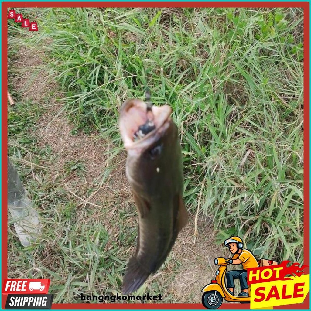 Soft Frog 3,5 Cm Umpan Pancing Anti Moncel Untuk Casting Ikan Gabus Paling Ampuh Dan Gacor Terlaris 