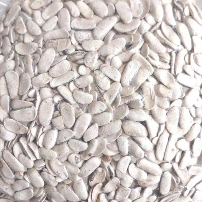 

Biji Mahoni KUPAS 100 gram - Biji Buah Mahoni KUPAS