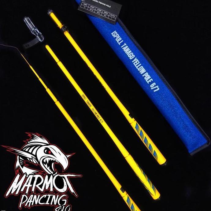 TEGEK ISPULL TANAGO YELLOW POLE ITYP